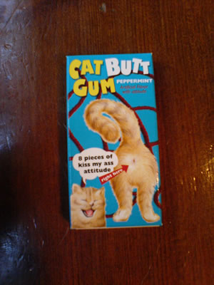 catbuttgumpost.jpg